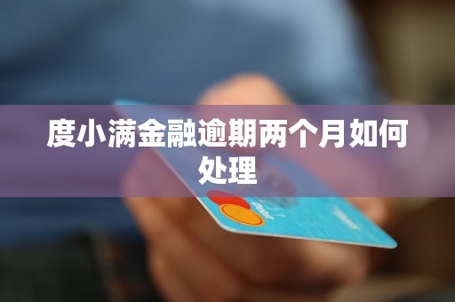 度小满金融逾期两个月如何处理