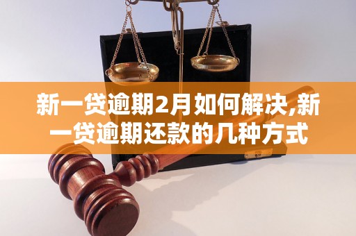 新一贷逾期2月如何解决,新一贷逾期还款的几种方式