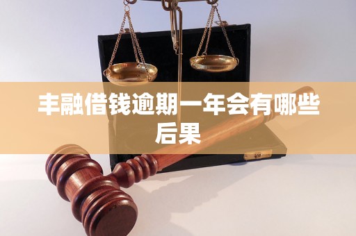 丰融借钱逾期一年会有哪些后果