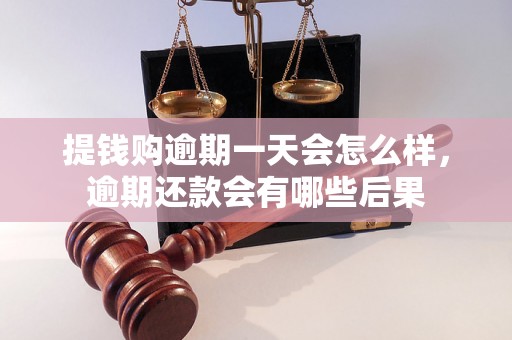 提钱购逾期一天会怎么样，逾期还款会有哪些后果