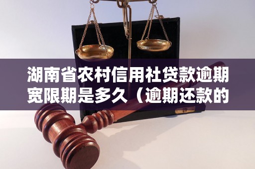 湖南省农村信用社贷款逾期宽限期是多久（逾期还款的后果及处罚）