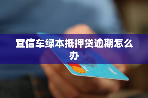 宜信车绿本抵押贷逾期怎么办