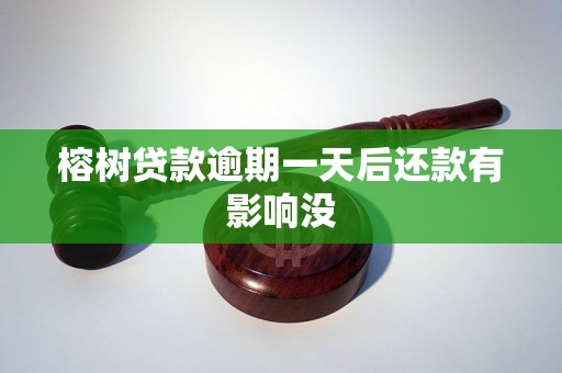 榕树贷款逾期一天后还款有影响没