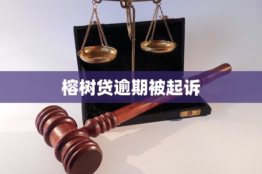 榕树贷逾期被起诉