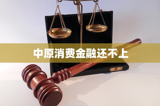 中原消费金融还不上