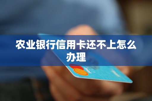 农业银行信用卡还不上怎么办理