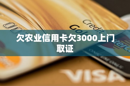 欠农业信用卡欠3000上门取证