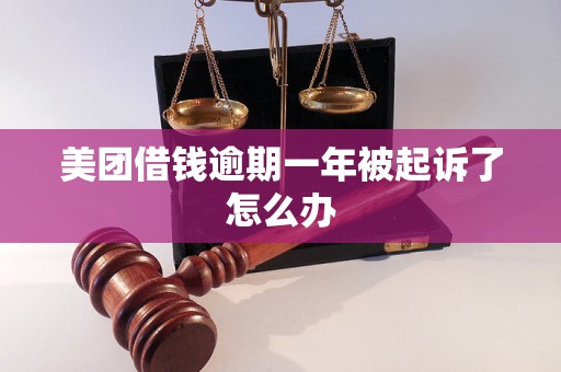 美团借钱逾期一年被起诉了怎么办