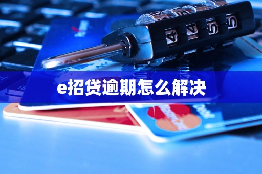 e招贷逾期怎么解决