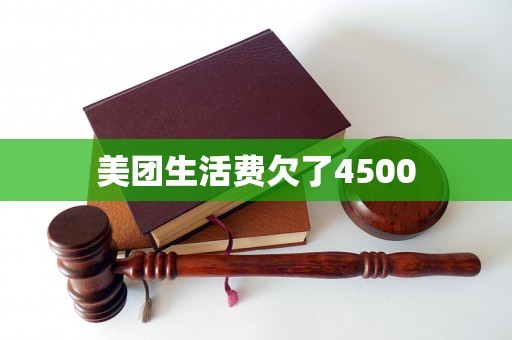 美团生活费欠了4500