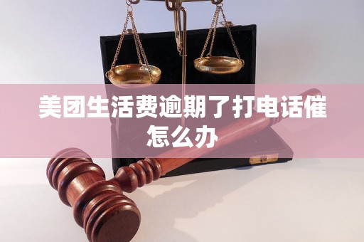 美团生活费逾期了打电话催怎么办