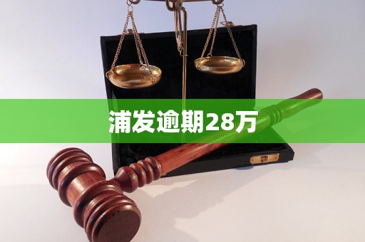 浦发逾期28万