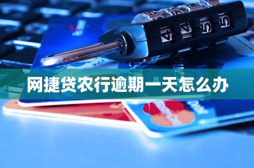 网捷贷农行逾期一天怎么办