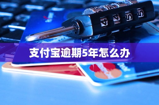 支付宝逾期5年怎么办