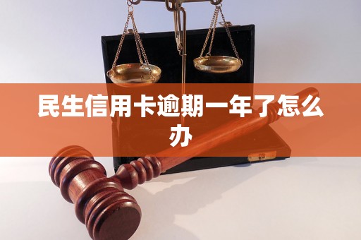 民生信用卡逾期一年了怎么办