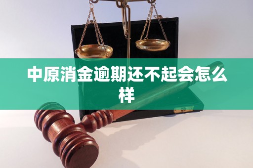 中原消金逾期还不起会怎么样