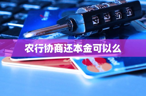 农行协商还本金可以么