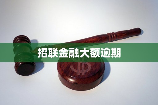 招联金融大额逾期