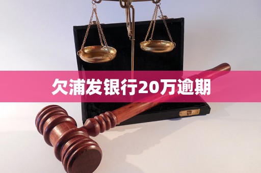 欠浦发银行20万逾期