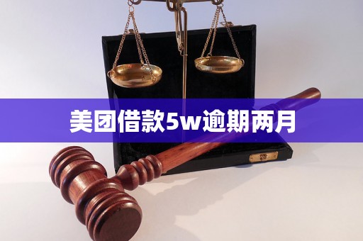 美团借款5w逾期两月