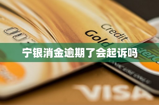 宁银消金逾期了会起诉吗