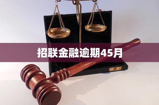 招联金融逾期45月