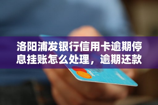 洛阳浦发银行信用卡逾期停息挂账怎么处理，逾期还款详细流程解析