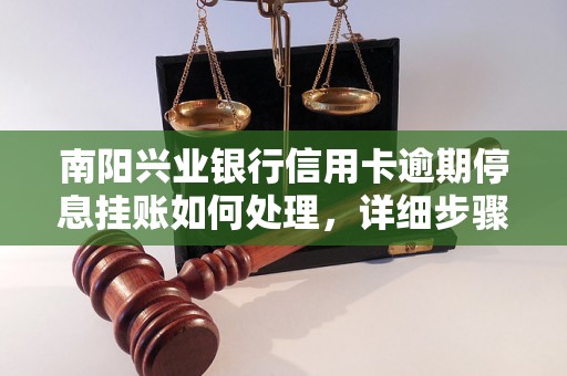 南阳兴业银行信用卡逾期停息挂账如何处理，详细步骤解析