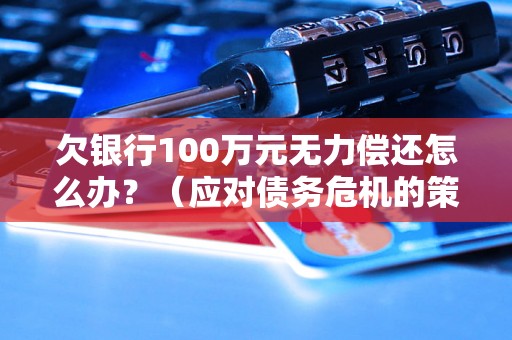 欠银行100万元无力偿还怎么办？（应对债务危机的策略与步骤）