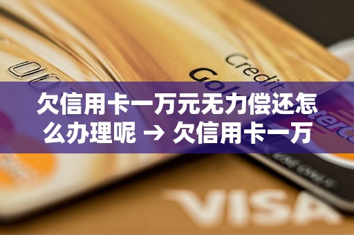 欠信用卡一万元无力偿还怎么办理呢 → 欠信用卡一万元无力偿还怎么办理？