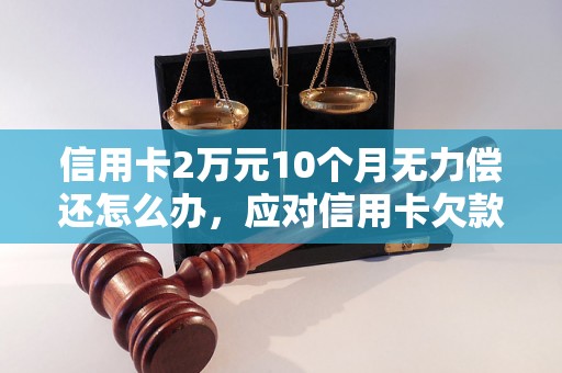 信用卡2万元10个月无力偿还怎么办，应对信用卡欠款高额利息的解决方案