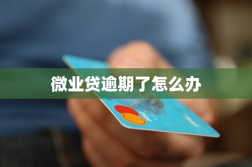 微业贷逾期了怎么办 微业贷逾期了怎么办