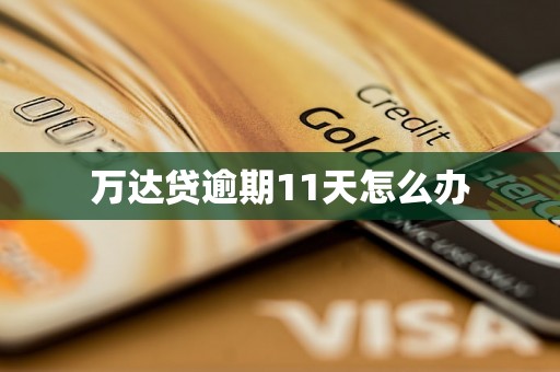 万达贷逾期11天怎么办