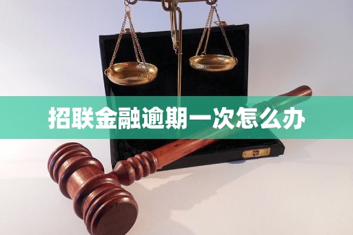 招联金融逾期一次怎么办