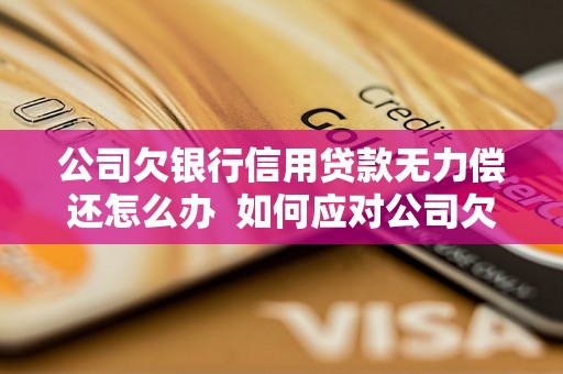 公司欠银行信用贷款无力偿还怎么办  如何应对公司欠银行信用贷款无力偿还