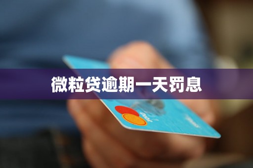 微粒贷逾期一天罚息