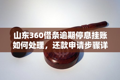 山东360借条逾期停息挂账如何处理，还款申请步骤详解