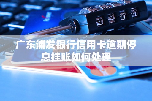 广东浦发银行信用卡逾期停息挂账如何处理
