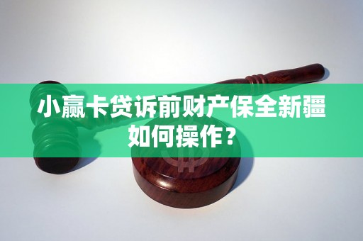 小赢卡贷诉前财产保全新疆如何操作？