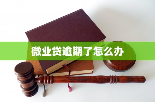 微业贷逾期了怎么办