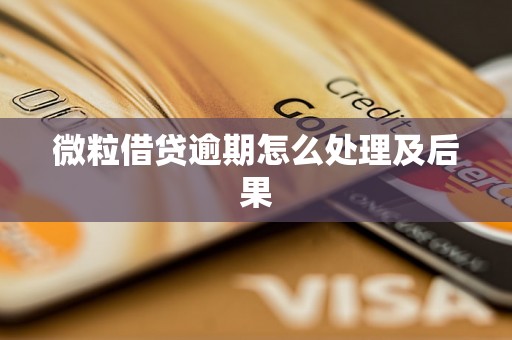微粒借贷逾期怎么处理及后果