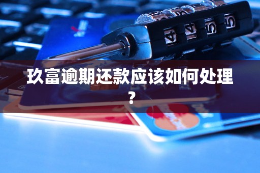 玖富逾期还款应该如何处理？