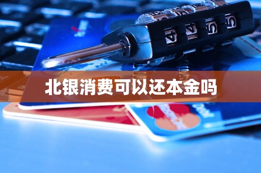 北银消费可以还本金吗