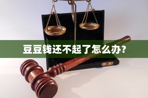 豆豆钱还不起了怎么办？