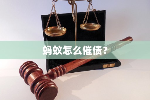 蚂蚁怎么催债？