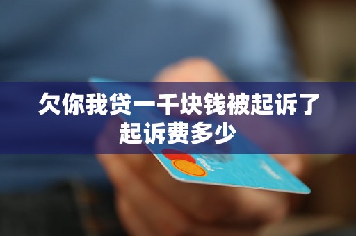 欠你我贷一千块钱被起诉了起诉费多少