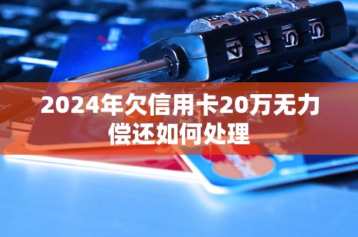 2024年欠信用卡20万无力偿还如何处理