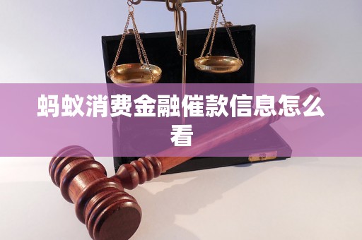 蚂蚁消费金融催款信息怎么看
