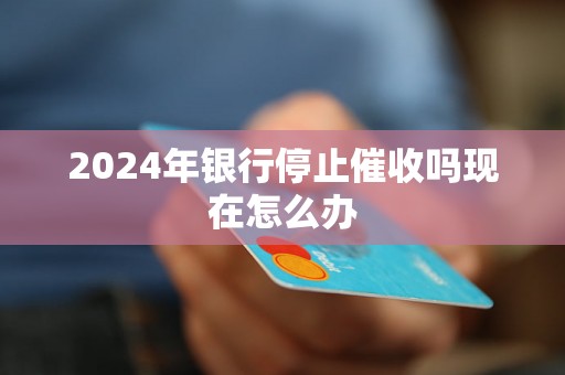 2024年银行停止催收吗现在怎么办