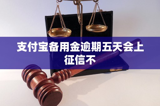 支付宝备用金逾期五天会上征信不